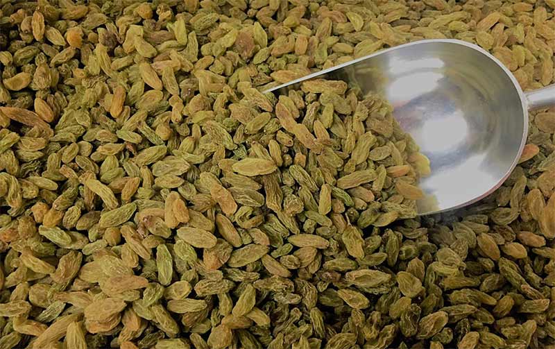 تصویر 2 از خرید کشمش سبز تیزابی + قیمت فروش استثنایی